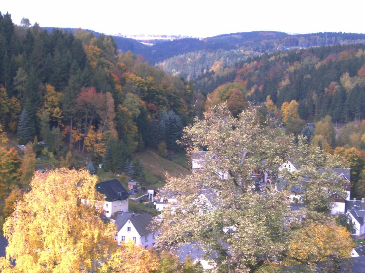Erzgebirge - - Mit Schönem Ausblick, Ruhige, Lage Apartment
